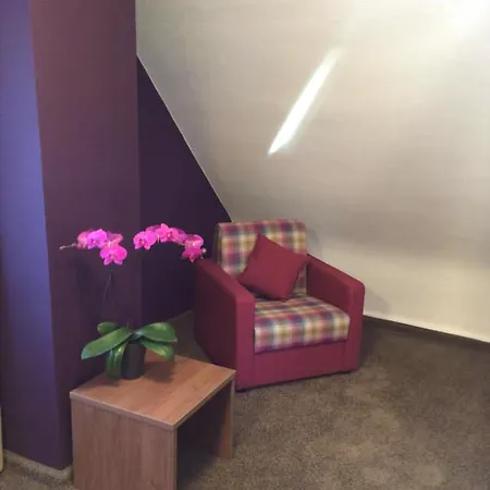 Boutique Societe מלון באדן-באדן